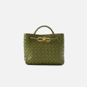 Bottega Veneta Small Andiamo Bag