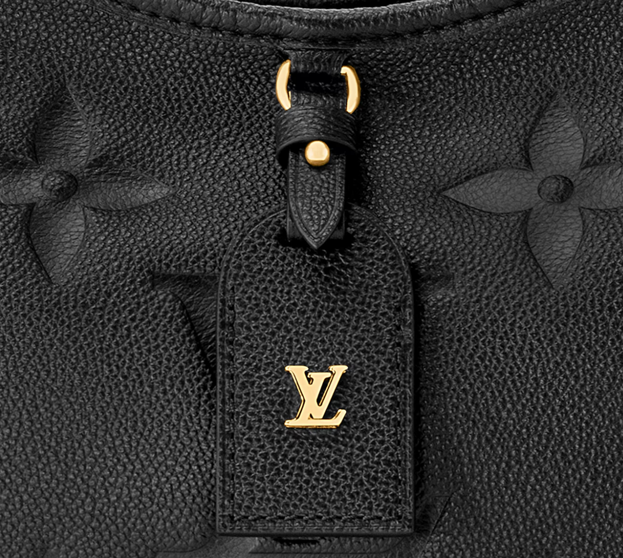 LV+CarryAll PM+Black - Image 2