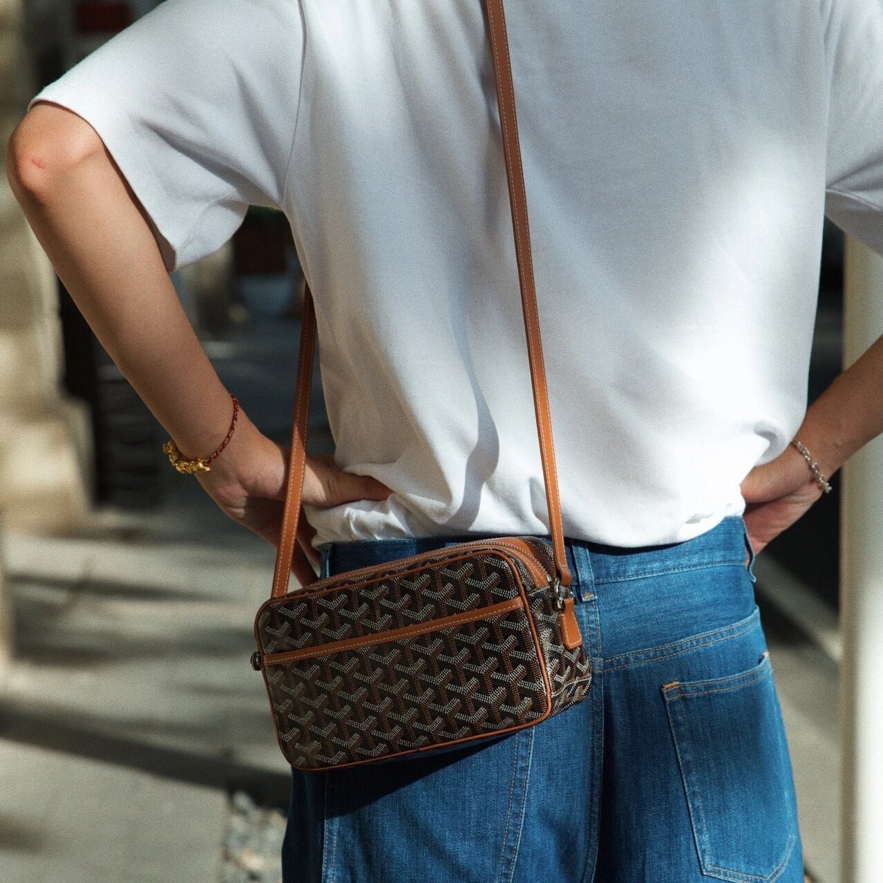 Goyard Cap-Vert PM Bag - Image 5